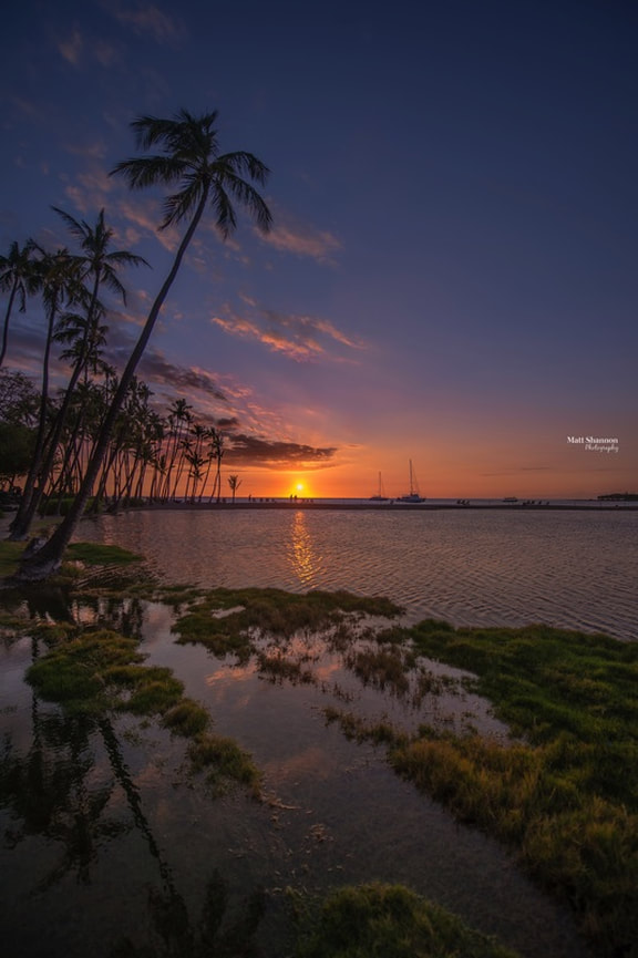 hawaii, sunset, setting sun, sun, ocean, lake, water, reflection, palm trees, trees, beach, big island, travel, landscape, matt shannon photography, view, sail boat, sailing, evening, twighlight, Picture